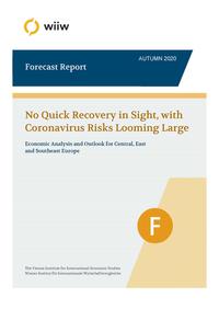 wiiw Forecast Report / Autumn 2020
