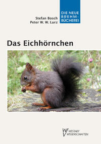 Das Eichhörnchen