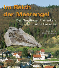 Im Reich der Meerengel