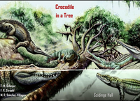 Crocodile in a Tree