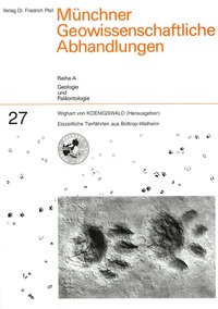 Eiszeitliche Tierfährten aus Bottrop-Welheim