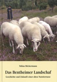 Das Bentheimer Landschaf