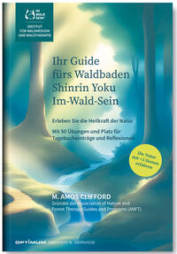 Ihr Guide fürs Waldbaden, Shinrin Yoku, Im-Wald-Sein