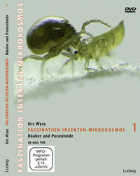 Faszination Insekten-Mikrokosmos 1 Räuber und Parasitoide