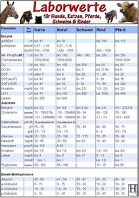 Laborwerte-Karte für Hunde, Katzen, Pferde, Schweine & Rinder