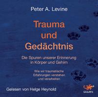 Trauma und Gedächtnis