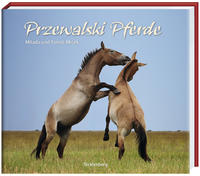 Przewalski Pferde