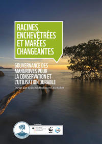 Racines enchevêtrées et marées changeantes