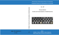 Growth and Functionalization on InGaN Nanowires