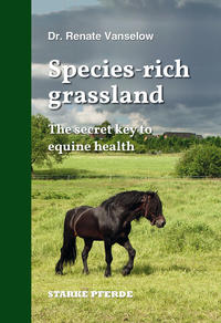 Species-rich grassland