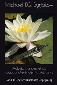 Aufzeichnungen eines vagabundierenden Bewusstseins