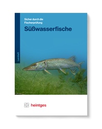 Süßwasserfische