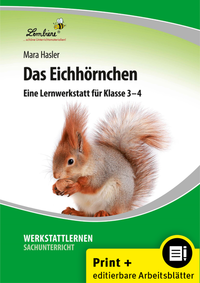 Das Eichhörnchen