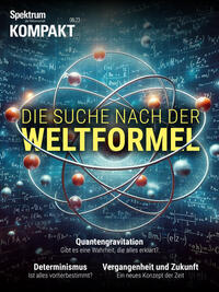 Spektrum Kompakt - Die Suche nach der Weltformel