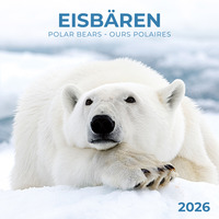 Eisbärchen/Polar Bears 2026