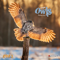 Magic Owls 2027