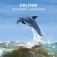 Delfine / Dolphins 2027
