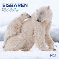 Eisbären / Polar Bears 2027