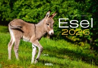 Esel Kalender 2026