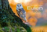 Eulen Kalender 2026