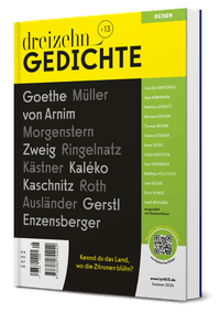 dreizehn +13 Gedichte