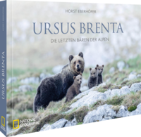 Ursus Brenta — Die Rückkehr der Bären in die Alpen