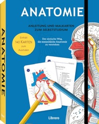 Anatomie – Anleitung und Malkarten zum Selbststudium
