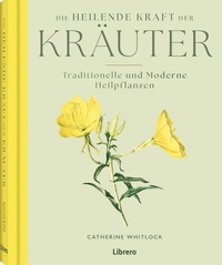 Die heilende Kraft der Kräuter