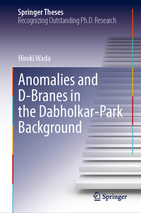 Anomalies and D-Branes in the Dabholkar-Park Background