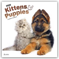 Kittens & Puppies – Kätzchen & Welpen 2026 – 16-Monatskalender